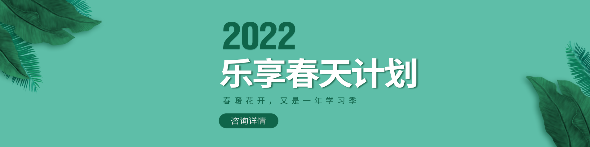 大鸡巴在线关看爽操